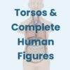 AW01 Anatomy Warehouse Anatomical Models - Image 16