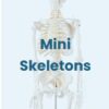 AW01 Anatomy Warehouse Anatomical Models - Image 22