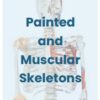 AW01 Anatomy Warehouse Anatomical Models - Image 21